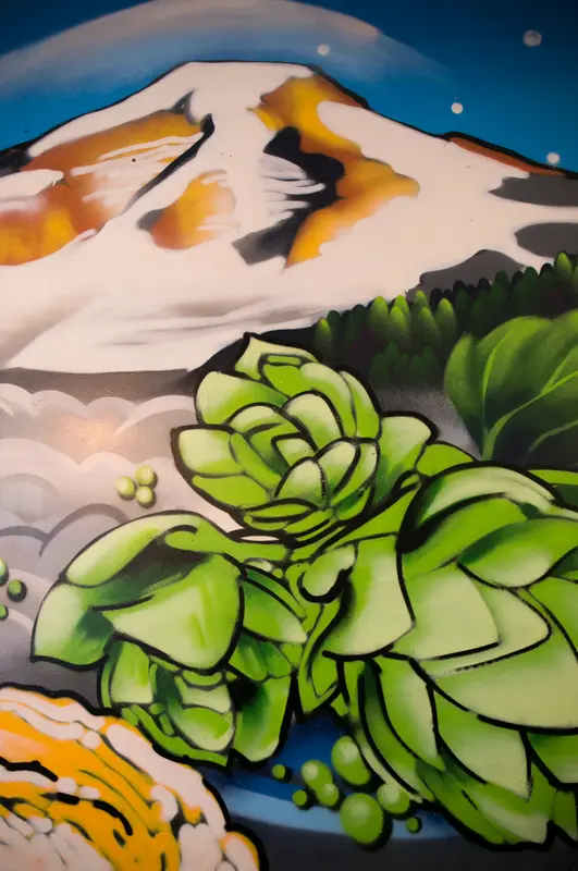 Bastion Brewing Co. mural by Wetiko, behind the scenes, photo 3