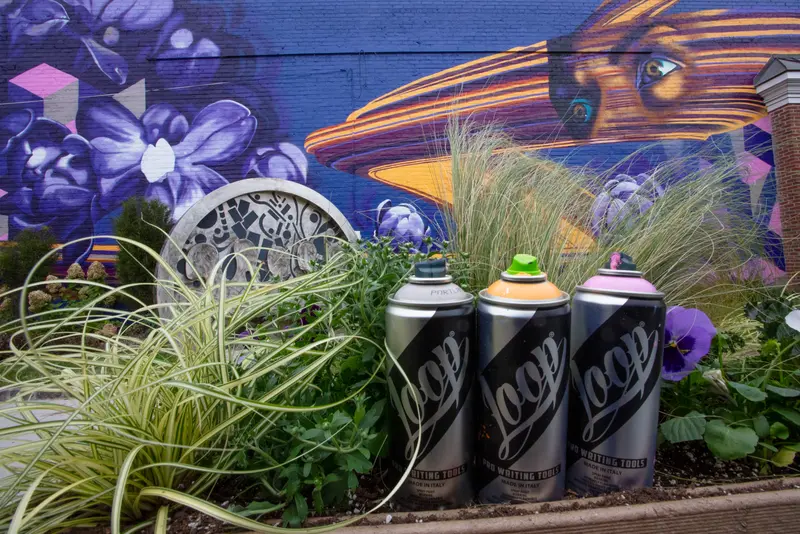 Pocket Park Mural, original version, photo 4